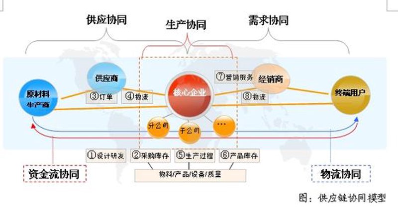 上海贸易公司的注册资本为何选择3万元？